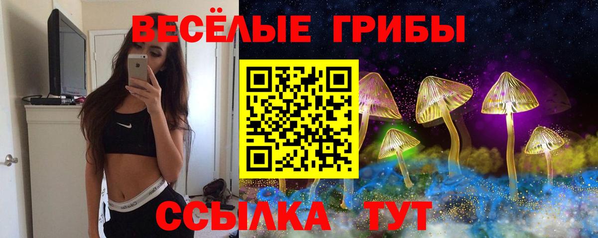 Галлюциногенные грибы мицелий Воскресенск